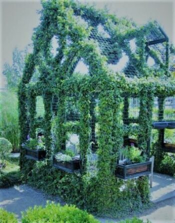 How to learn to make money online is like being a Gardener plant your seeds nurture it and watch it grow.