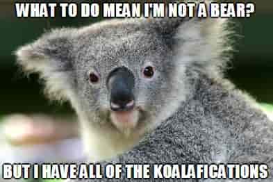 Koala has all the Koalafications