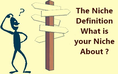 The Niche Definition What is your niche about