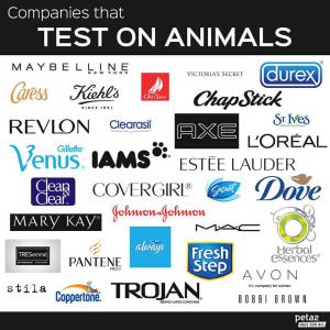 Companies and products that test on Animals