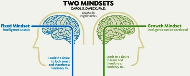 image o two brain thoughts between Fixed mindset and Growth Mindset light coloured background with reasons for each